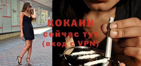 мдпв Богданович
