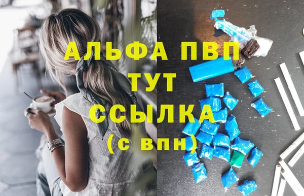 mdpv Богородск