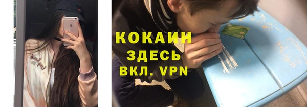 mdpv Богородск