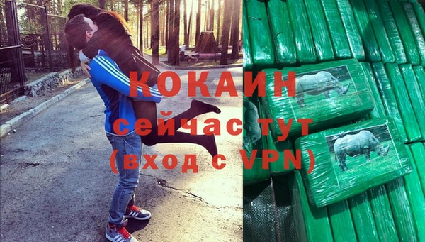 mdpv Богородск
