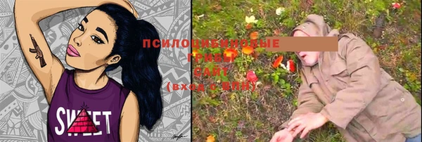 мдпв Богданович