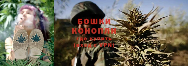 мдпв Богданович