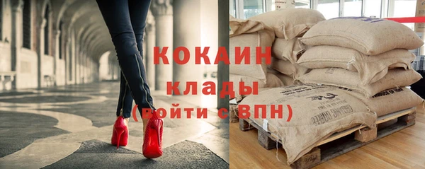 mdpv Богородск